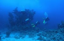 Zabargan, Rocky Island i St Johns - kwiecień 2008