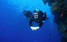 St. Johns - listopad 2008