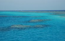 St. Johns - listopad 2008