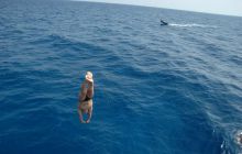 St. Johns - listopad 2008