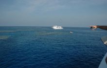 St. Johns - listopad 2008