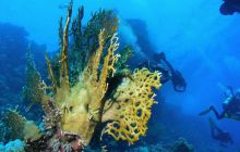 St. Johns - listopad 2008