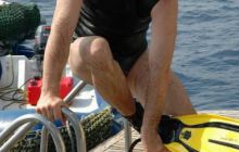 St. Johns - listopad 2008