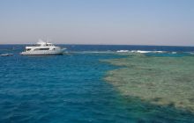 St. Johns - listopad 2008