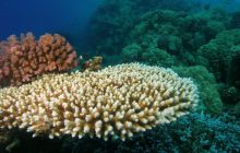 St. Johns - listopad 2008