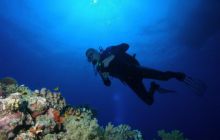 St. Johns - listopad 2008