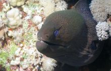 St. Johns - listopad 2008