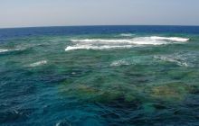 St. Johns - listopad 2008