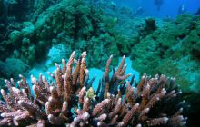 St. Johns - listopad 2008