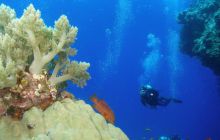 St. Johns - listopad 2008