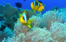 St. Johns - listopad 2008