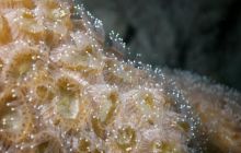 St. Johns - listopad 2008