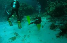 St. Johns - listopad 2008