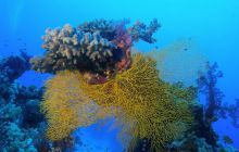 St. Johns - listopad 2008