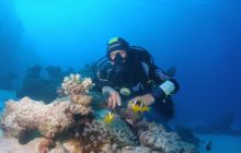 St. Johns - listopad 2008