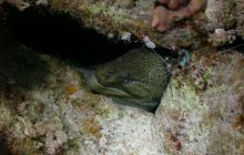 St. Johns - listopad 2008