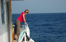 St. Johns - listopad 2008