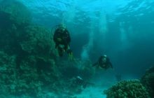 St. Johns - listopad 2008