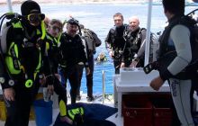 Egipt Sharm - kwiecień 2004