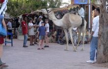 Egipt Sharm - kwiecień 2004