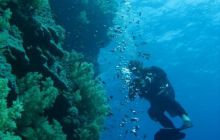 St. Johns - listopad 2008