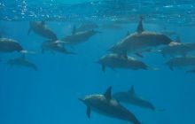 St. Johns - listopad 2008