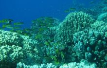 St. Johns - listopad 2008