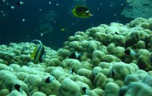 St. Johns - listopad 2008