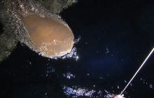 St. Johns - listopad 2008