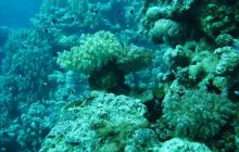 St. Johns - listopad 2008