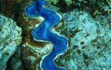 St. Johns - listopad 2008