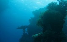 St. Johns - listopad 2008