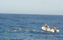 St. Johns - listopad 2008