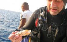 St. Johns - listopad 2008