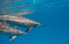 St. Johns - listopad 2008