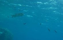 St. Johns - listopad 2008