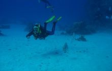 St. Johns - listopad 2008