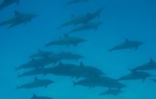 St. Johns - listopad 2008