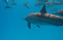 St. Johns - listopad 2008