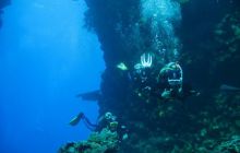 St. Johns - listopad 2008