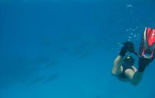 St. Johns - listopad 2008