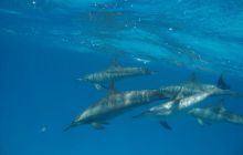 St. Johns - listopad 2008