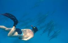 St. Johns - listopad 2008