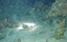 St. Johns - listopad 2008