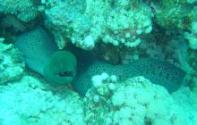 St. Johns - listopad 2008