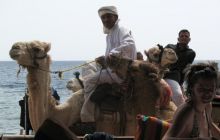Dahab - marzec 2009