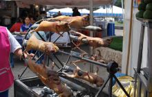 Galapagos - kwiecień 2009