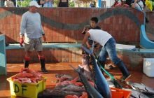 Galapagos - kwiecień 2009