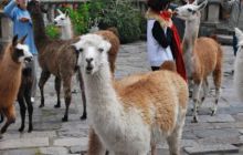 Galapagos - kwiecień 2009