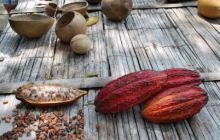 Galapagos - kwiecień 2009